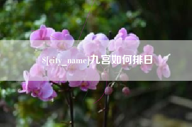 济宁九宫如何排日