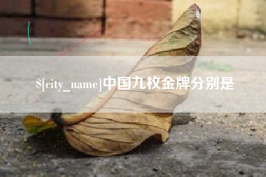 济宁中国九枚金牌分别是