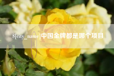 济宁中国金牌都是哪个项目
