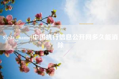 济宁中国执行信息公开网多久能消除