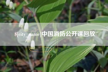 济宁中国消防公开课回放
