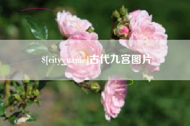 济宁古代九宫图片