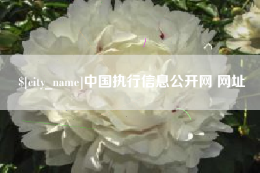 济宁中国执行信息公开网 网址