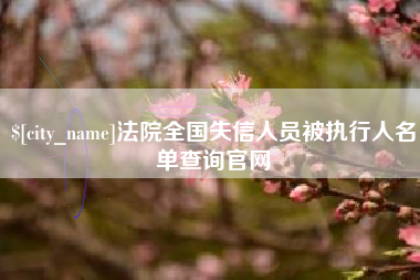 济宁法院全国失信人员被执行人名单查询官网