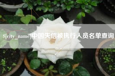 济宁中国失信被执行人员名单查询
