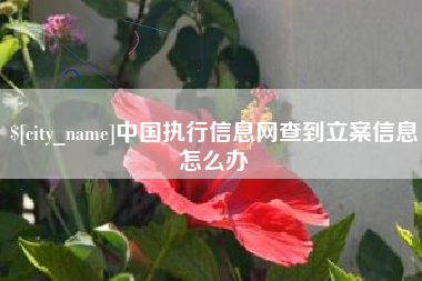 济宁中国执行信息网查到立案信息怎么办