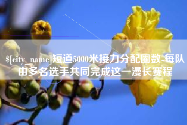 济宁短道5000米接力分配圈数-每队由多名选手共同完成这一漫长赛程