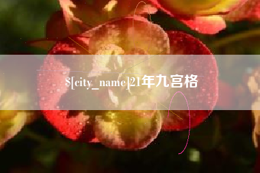 济宁21年九宫格