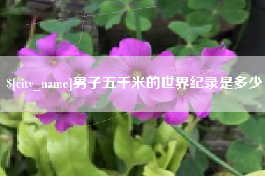 济宁男子五千米的世界纪录是多少