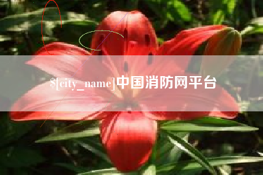 济宁中国消防网平台