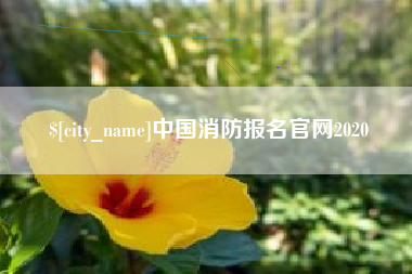 济宁中国消防报名官网2020