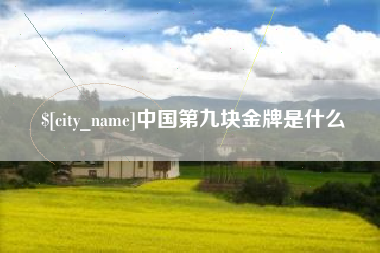济宁中国第九块金牌是什么