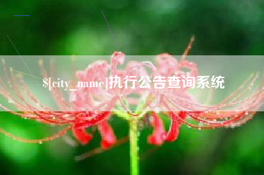 济宁执行公告查询系统