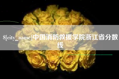 济宁中国消防救援学院浙江省分数线