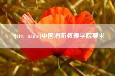 济宁中国消防救援学院要求