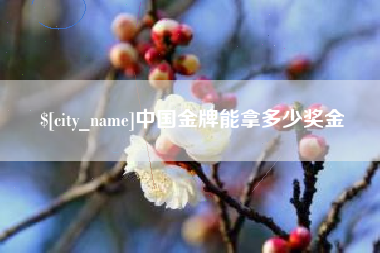 济宁中国金牌能拿多少奖金