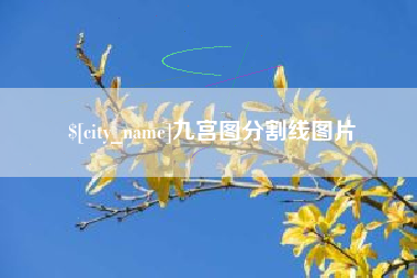济宁九宫图分割线图片