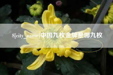 济宁中国九枚金牌是哪九枚