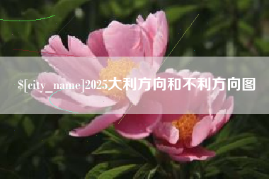 济宁2025大利方向和不利方向图