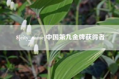 济宁中国第九金牌获得者