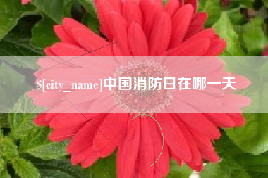 济宁中国消防日在哪一天