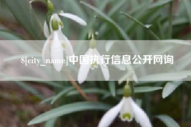 济宁中国执行信息公开网询