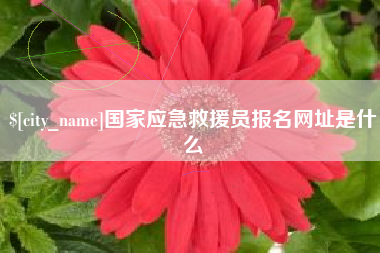 济宁国家应急救援员报名网址是什么