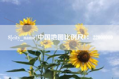 济宁中国地图比例尺1：22000000