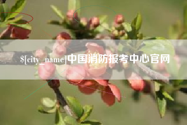 济宁中国消防报考中心官网