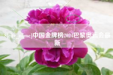 济宁中国金牌榜2024巴黎奥运会最新