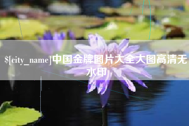 济宁中国金牌图片大全大图高清无水印