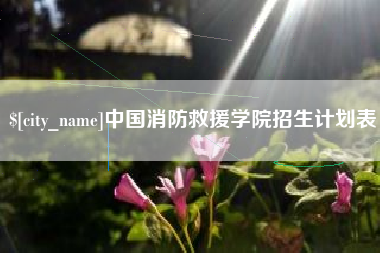 济宁中国消防救援学院招生计划表