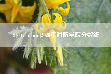 济宁2020年消防学院分数线