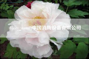 济宁中国消防设备有限公司