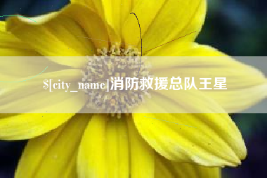 济宁消防救援总队王星