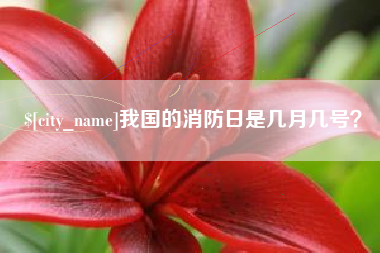 济宁我国的消防日是几月几号？