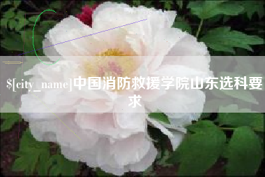 济宁中国消防救援学院山东选科要求