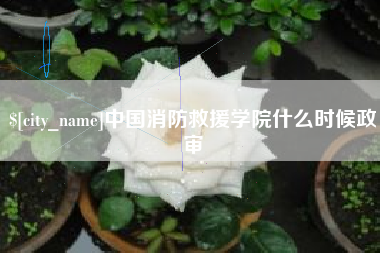 济宁中国消防救援学院什么时候政审