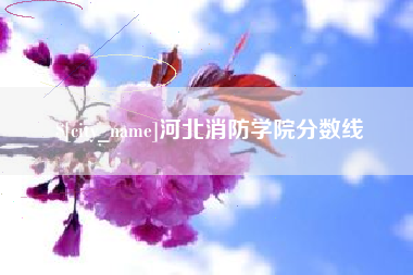 济宁河北消防学院分数线