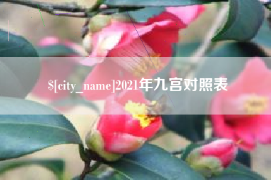 济宁2021年九宫对照表