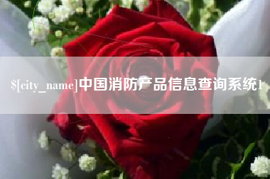 济宁中国消防产品信息查询系统1