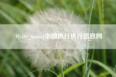 济宁中国执行执行信息网