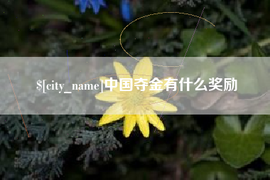 济宁中国夺金有什么奖励