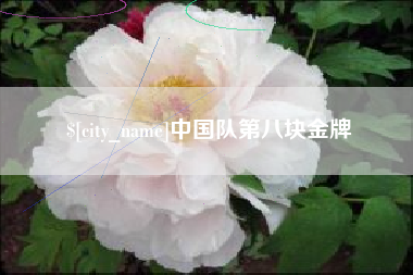 济宁中国队第八块金牌