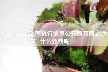 济宁中国执行信息公开网官网app为什么要钱呢
