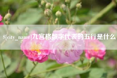 济宁九宫格数字代表的五行是什么