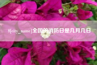 济宁全国的消防日是几月几日