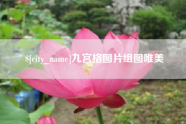 济宁九宫格图片组图唯美