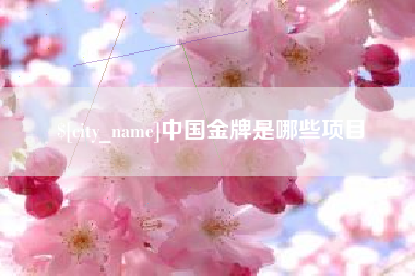 济宁中国金牌是哪些项目