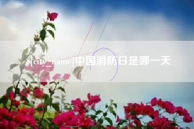济宁中国消防日是哪一天